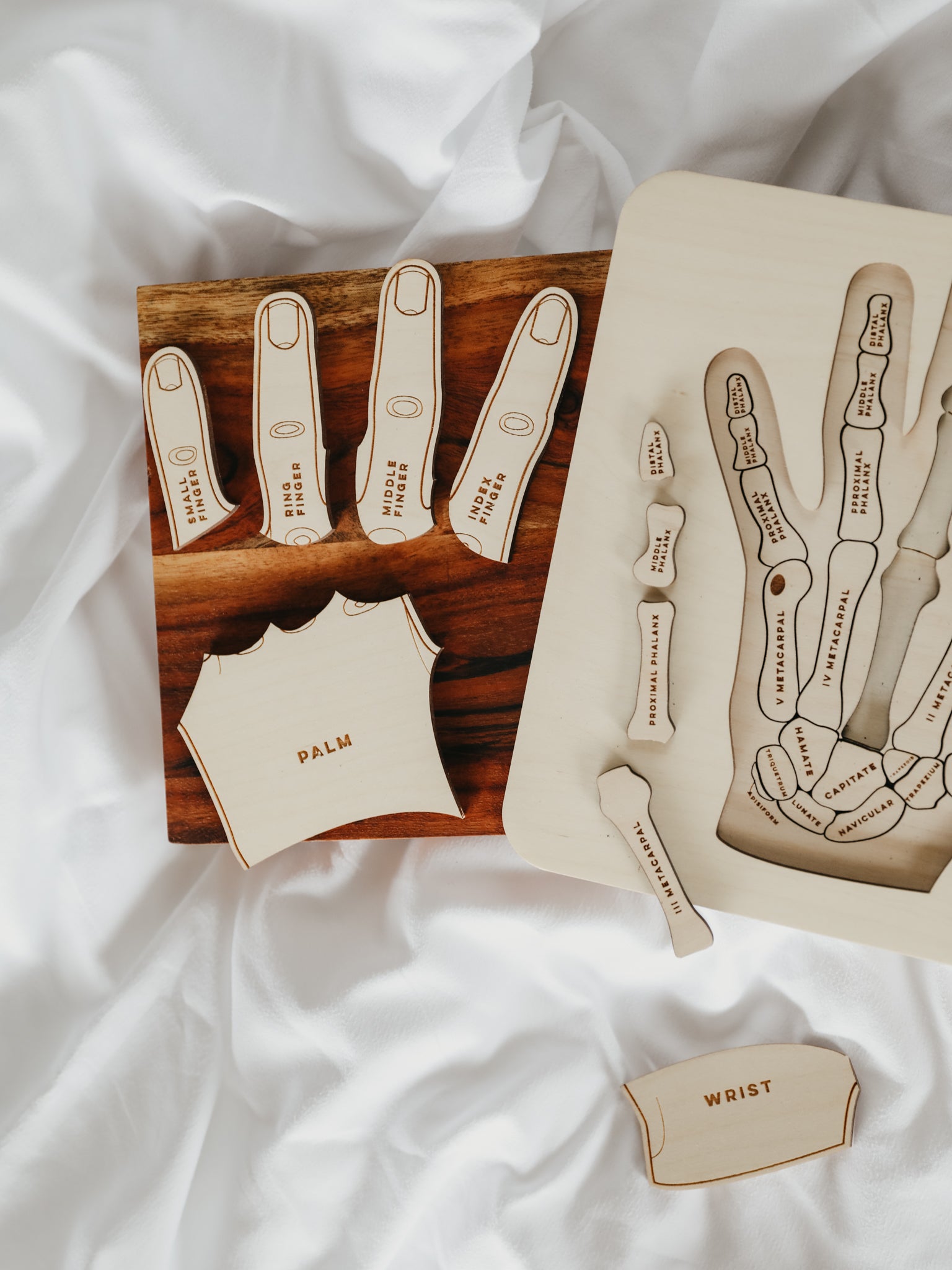 Hand Anatomy Wooden Puzzle