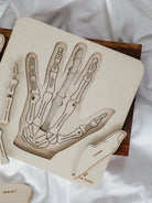Hand Anatomy Wooden Puzzle