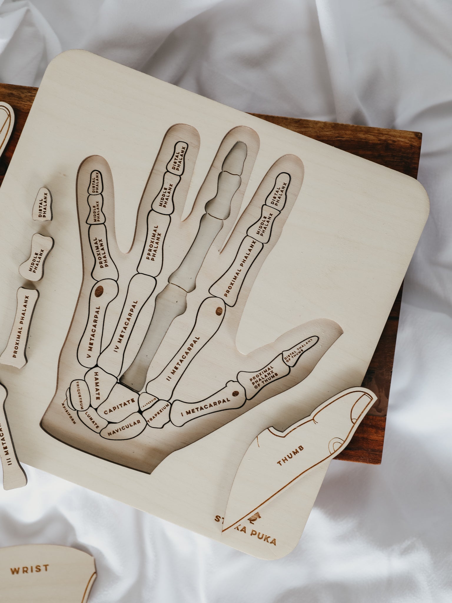 Hand Anatomy Wooden Puzzle