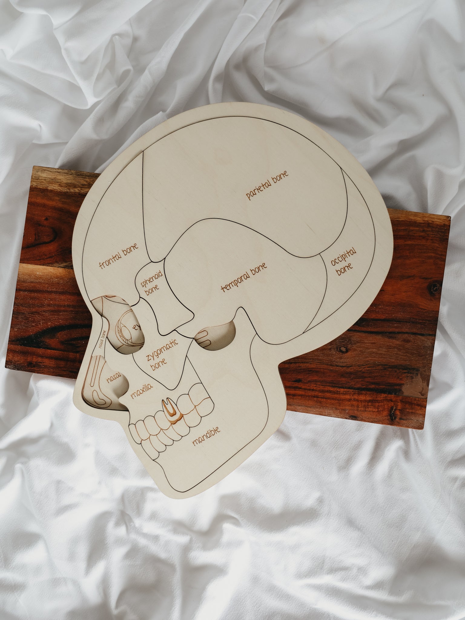 Use Your Head Wooden Puzzle