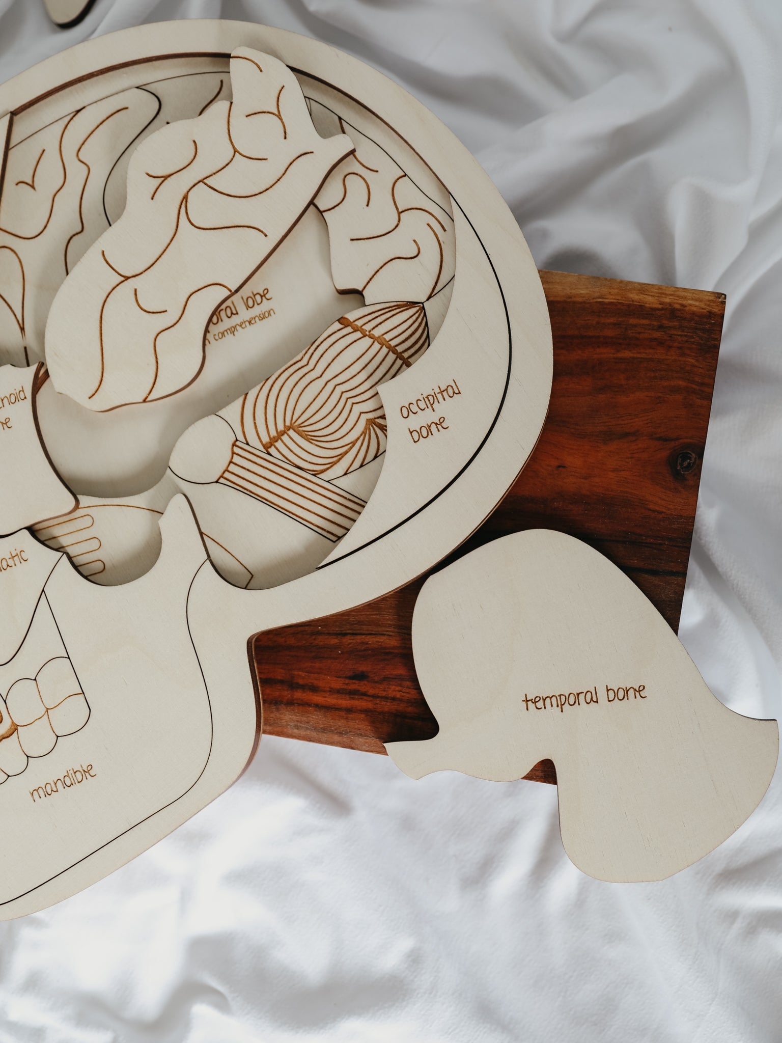Use Your Head Wooden Puzzle