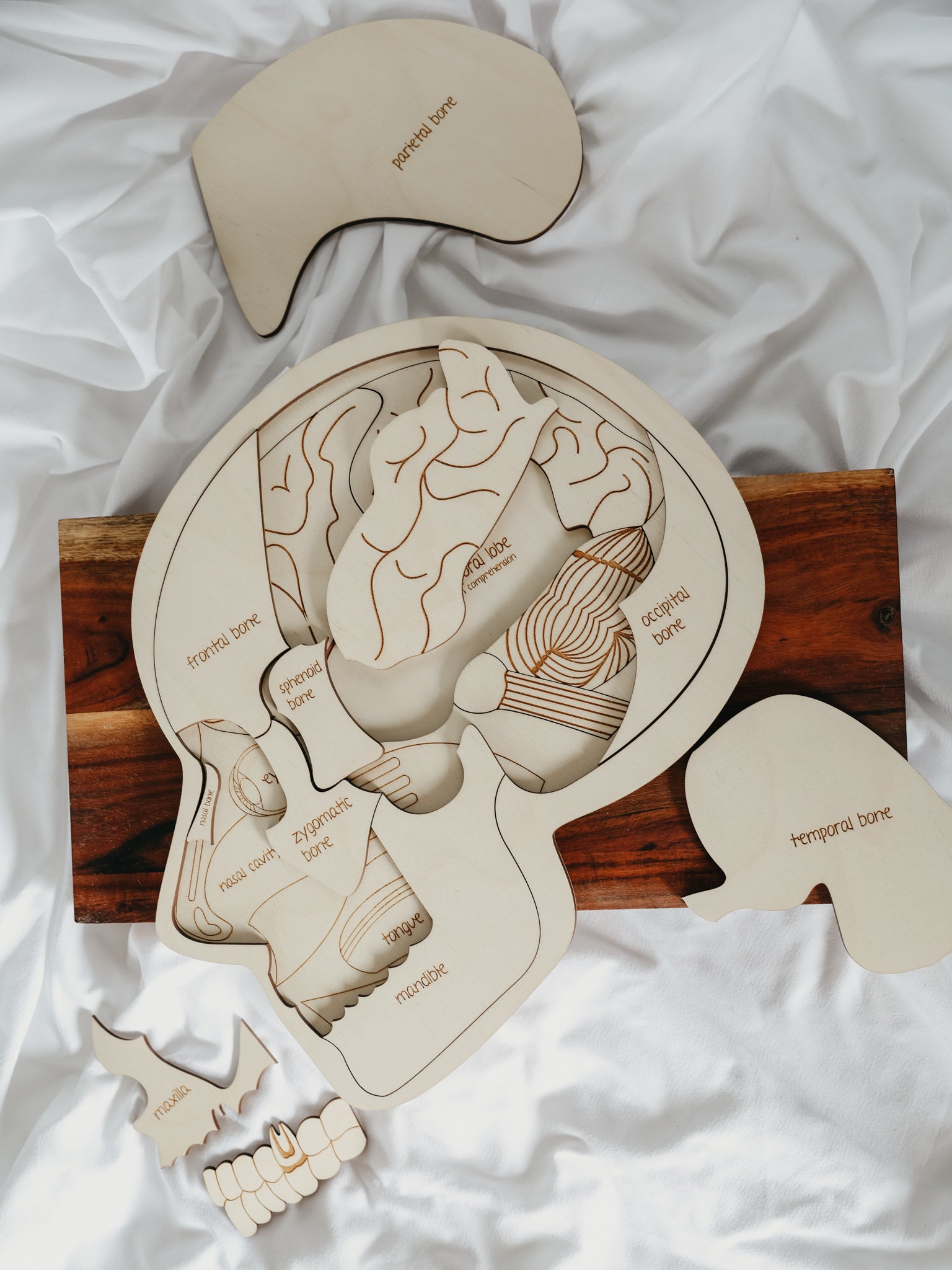 Use Your Head Wooden Puzzle