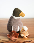 Balance Duck Activity Toy