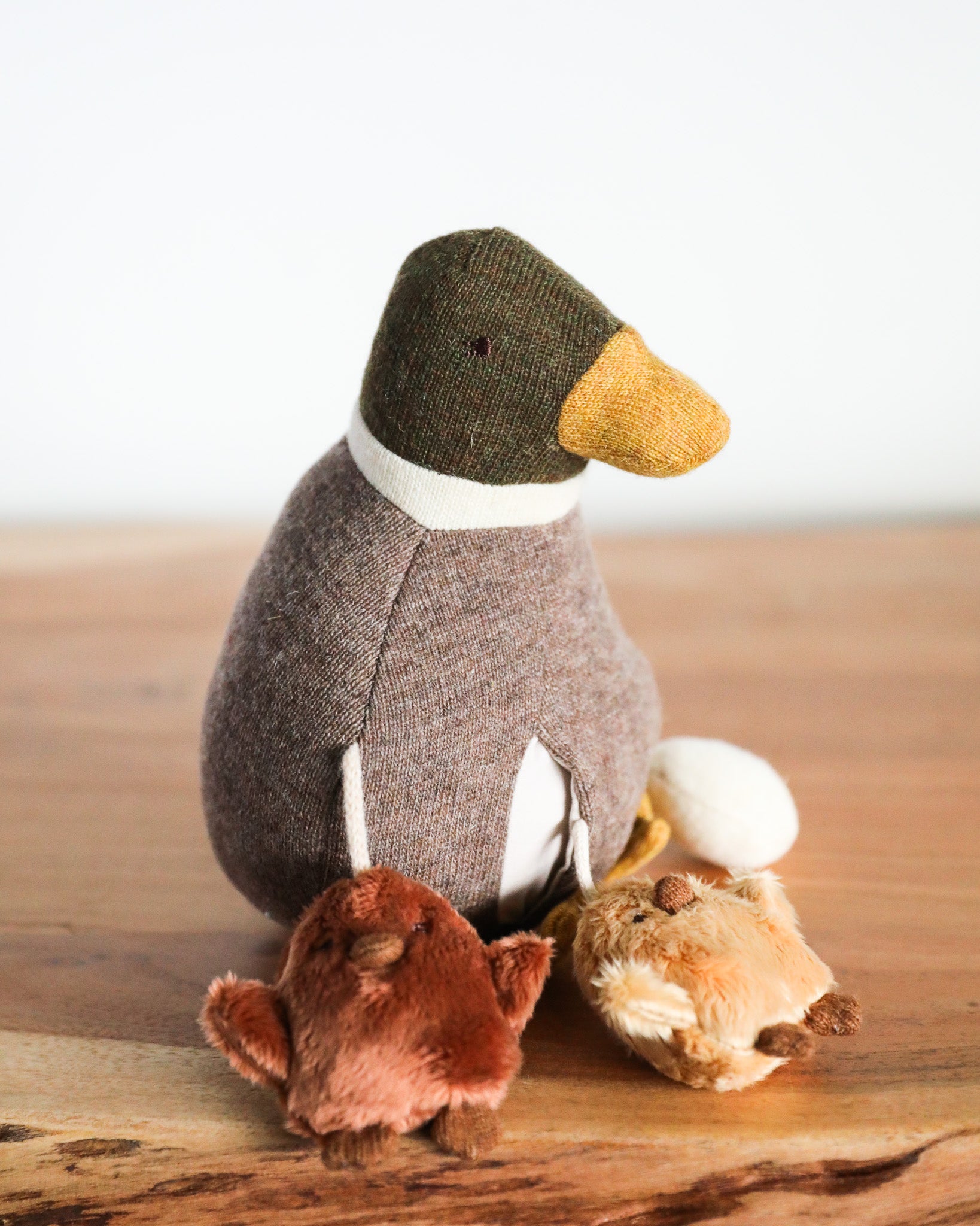 Balance Duck Activity Toy