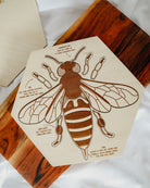 Bee Anatomy Wooden Puzzle