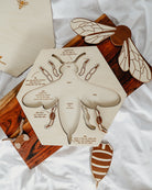 Bee Anatomy Wooden Puzzle