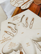 Bee Anatomy Wooden Puzzle