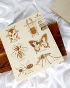 Bug Life Cycle Wooden Puzzle