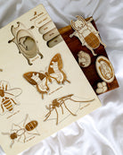 Bug Life Cycle Wooden Puzzle