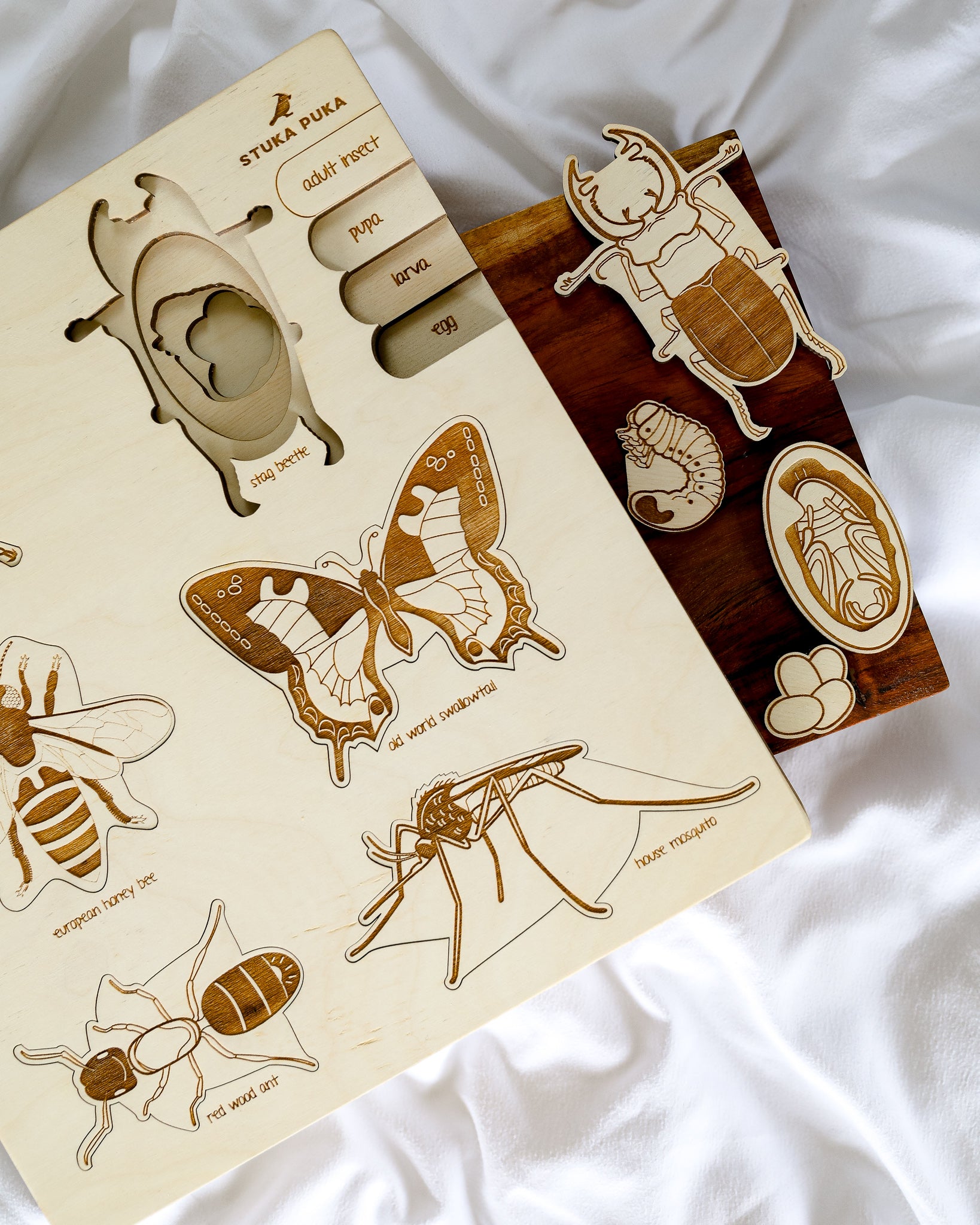 Bug Life Cycle Wooden Puzzle