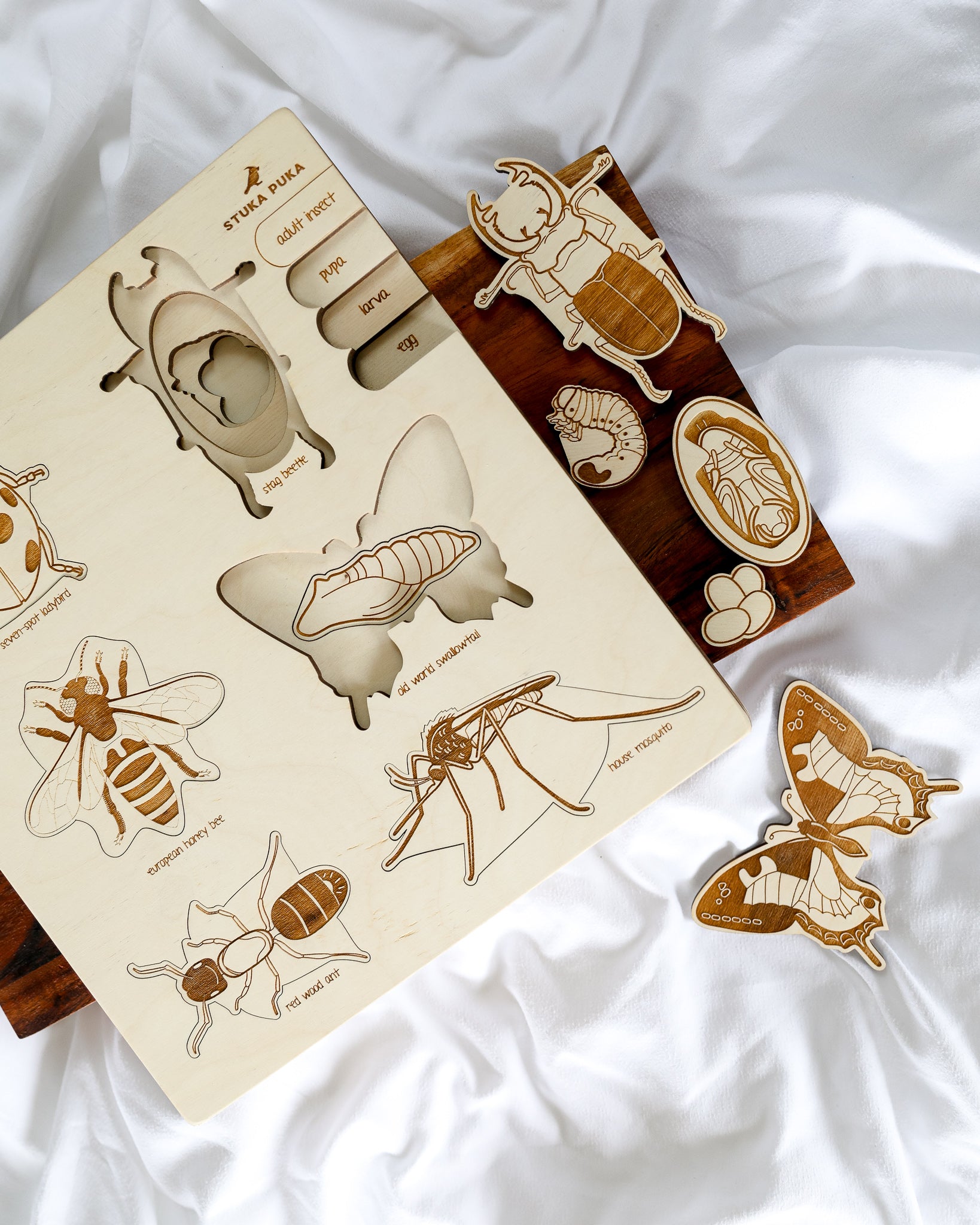 Bug Life Cycle Wooden Puzzle