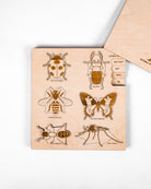 Bug Life Cycle Wooden Puzzle