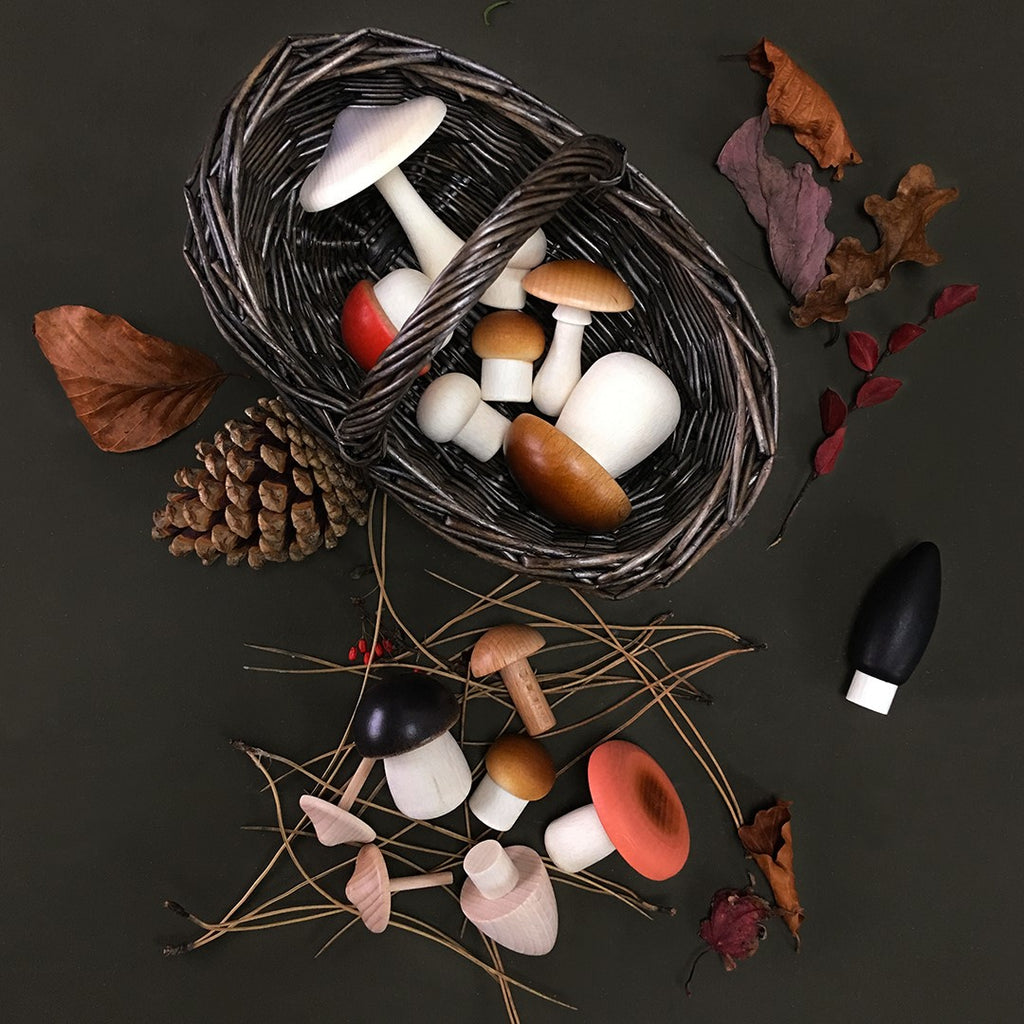 Forest Mushrooms Basket