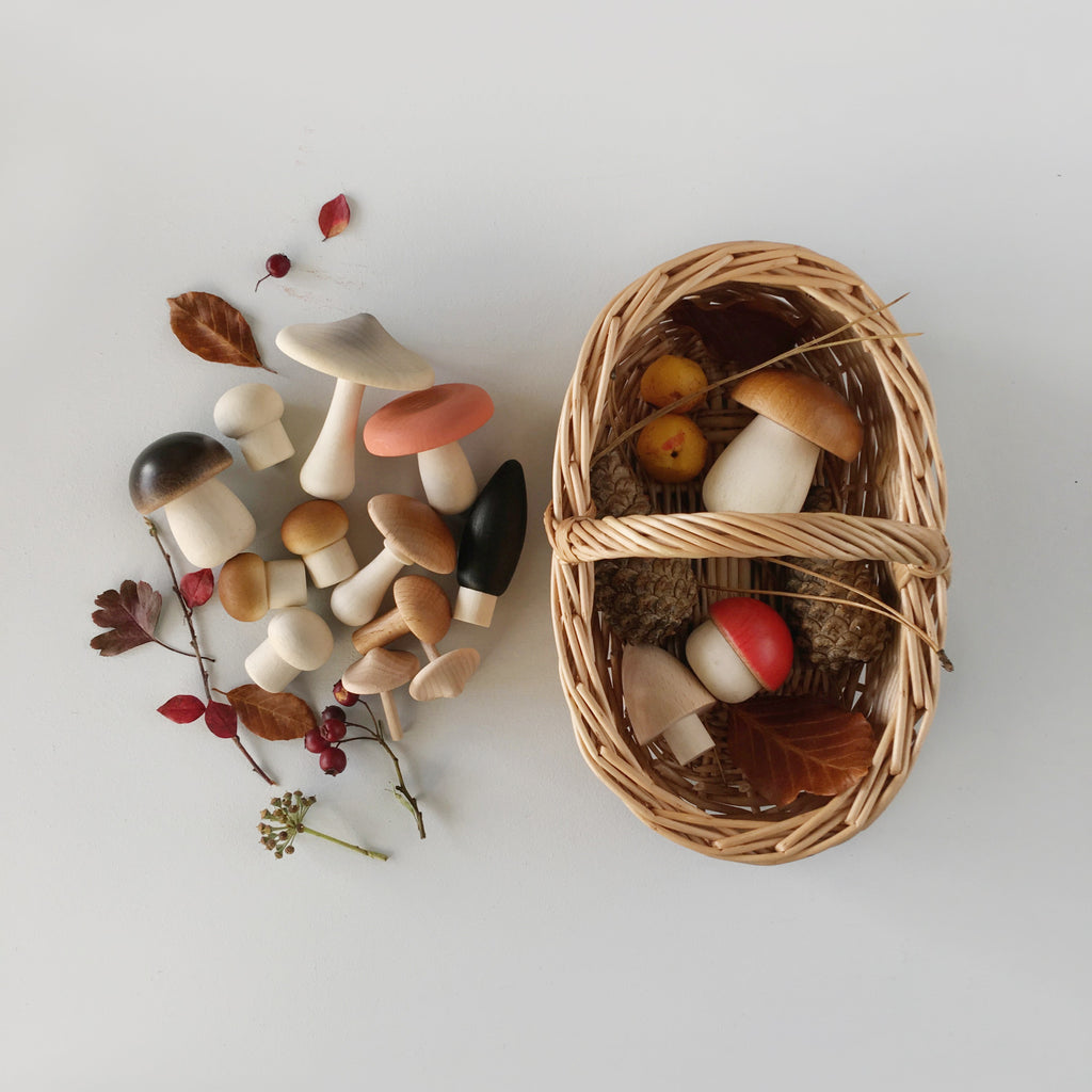 Forest Mushrooms Basket