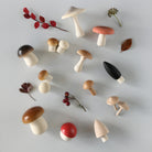 Forest Mushrooms Basket