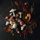 Forest Mushrooms Basket