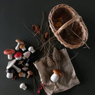 Forest Mushrooms Basket