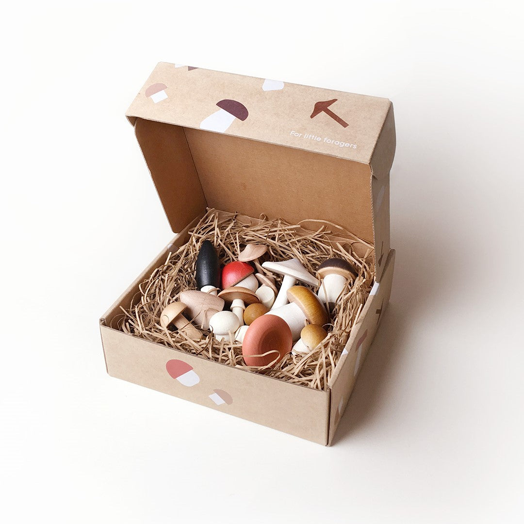 Forest Mushrooms in a Box by Moon Picnic