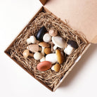 Forest Mushrooms in a Box by Moon Picnic