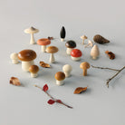 Forest Mushrooms in a Box by Moon Picnic
