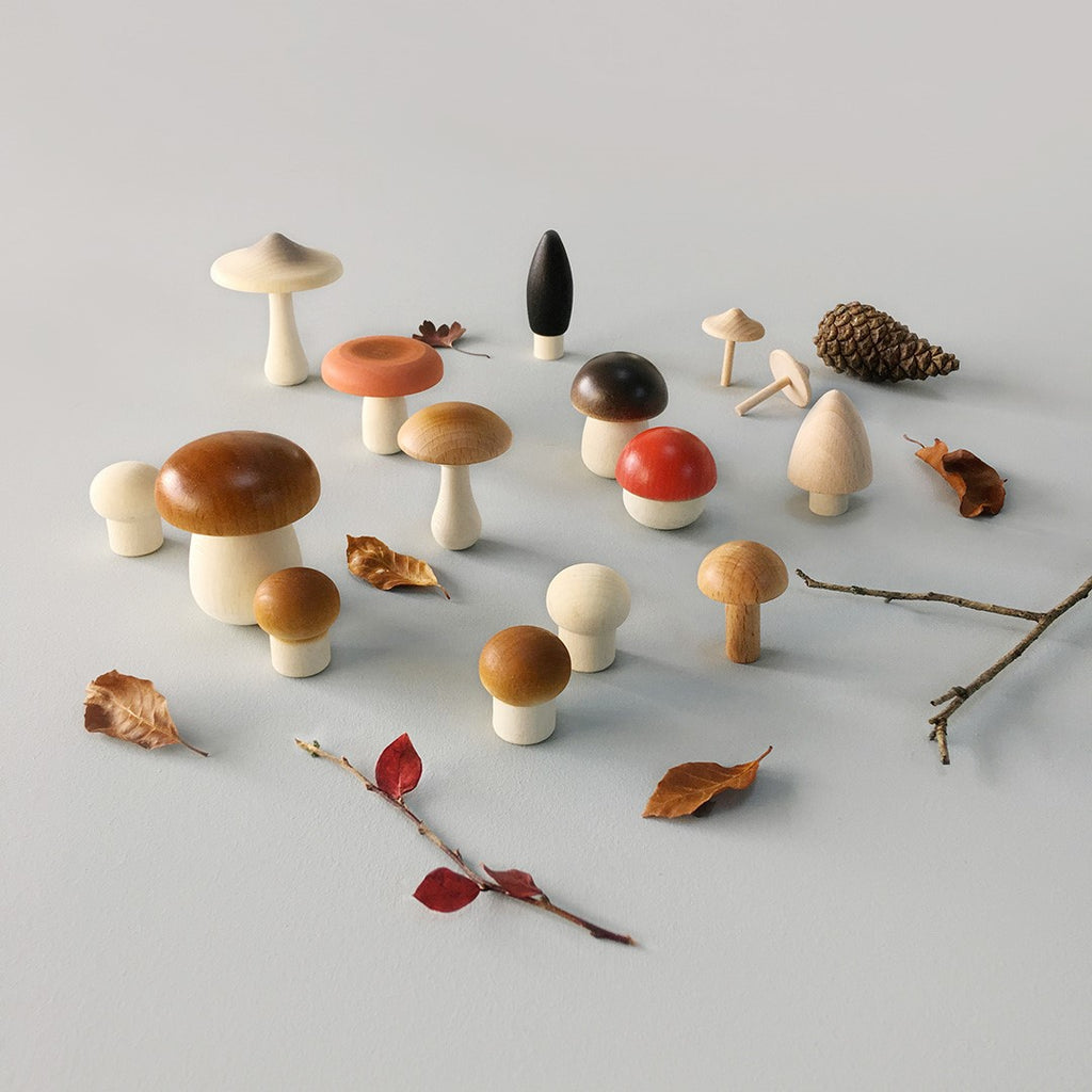 Forest Mushrooms in a Box by Moon Picnic