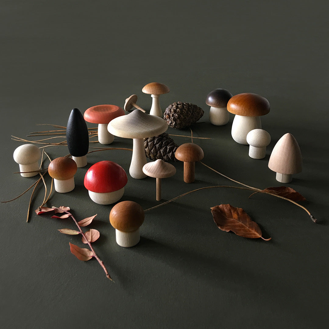 Forest Mushrooms in a Box by Moon Picnic