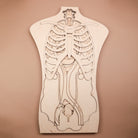 Human Anatomy Wooden Puzzle