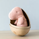 Maileg Gantosaurus in Egg - Small