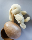 Maileg | Plush Bunny in Egg