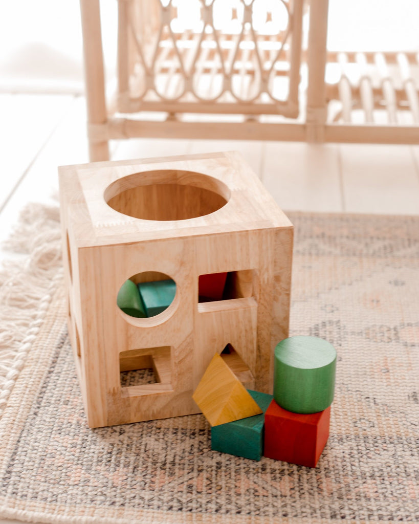 Montessori Shape Sorting Cube