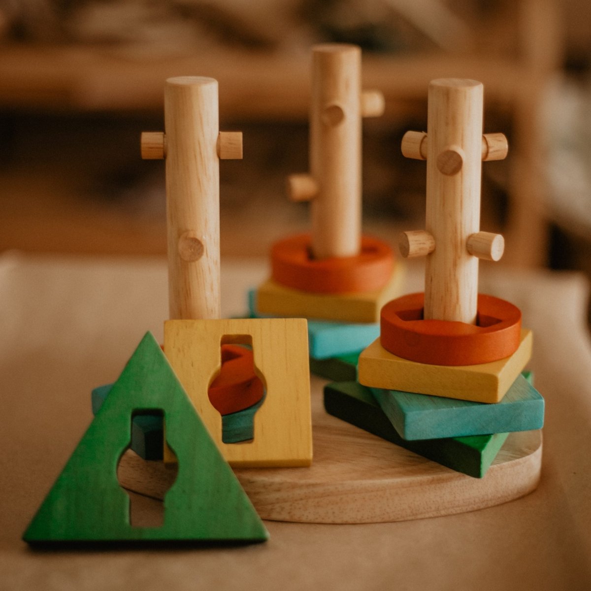 Montessori Twist and Sort Activity