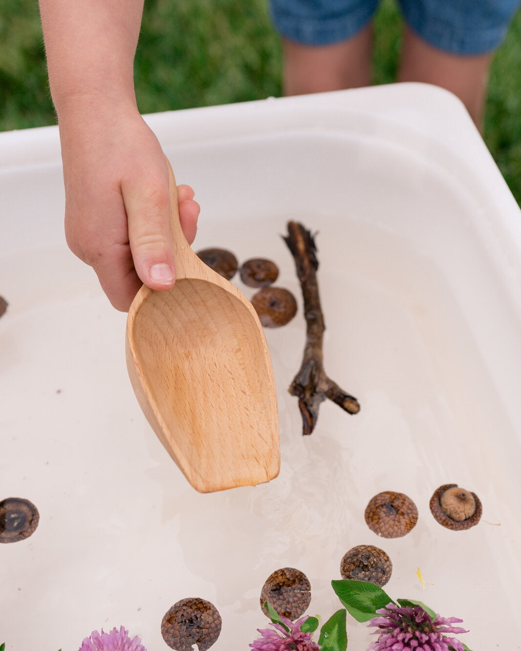 Wooden Scoop