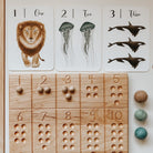 Nature's 123 Flashcards