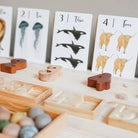 Nature's 123 Flashcards