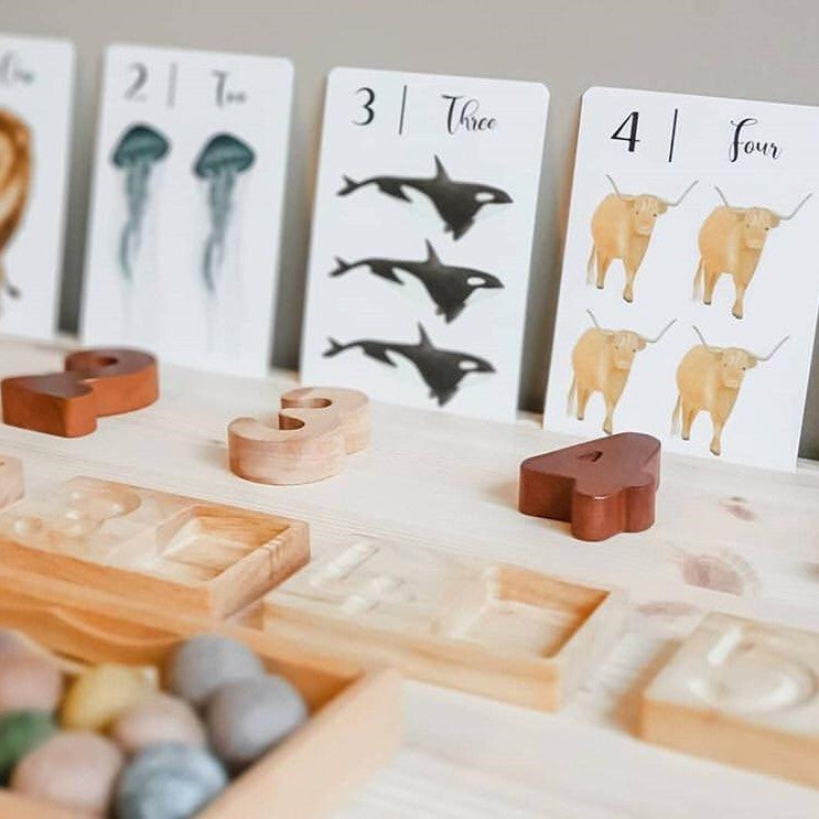Nature's 123 Flashcards