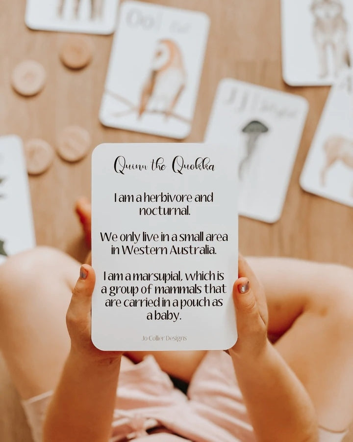 Jo Collier Designs | Nature's ABC Flashcards