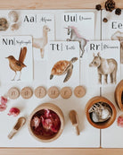 Jo Collier Designs | Nature's ABC Flashcards