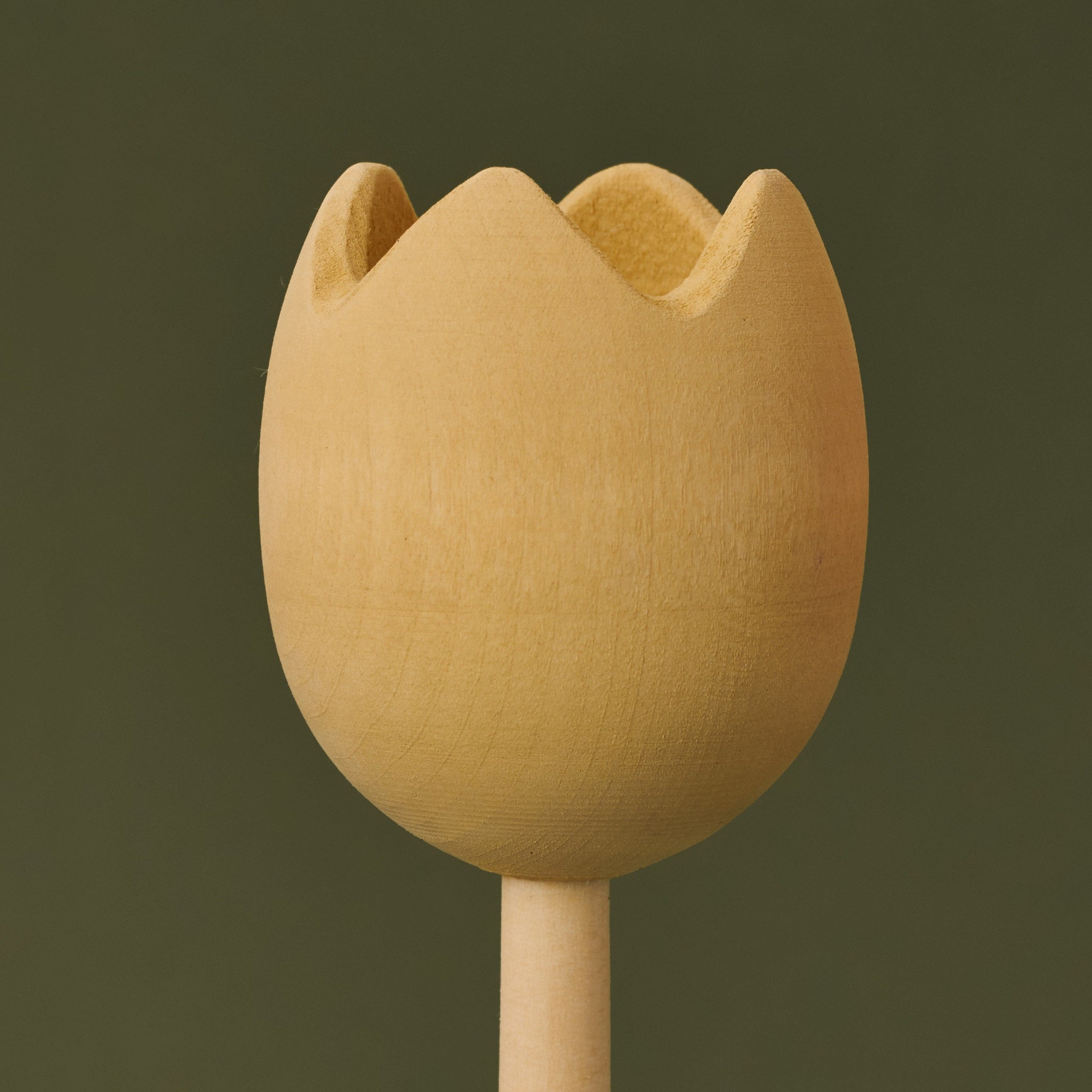 Raduga Grez | Wooden Sorting Tulips