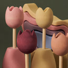 Raduga Grez | Wooden Sorting Tulips