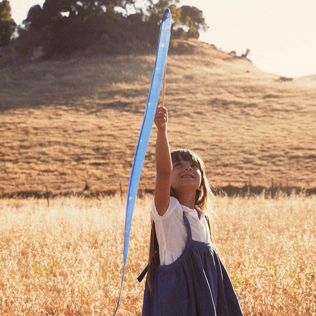 Sarah's Silks | Large Streamers