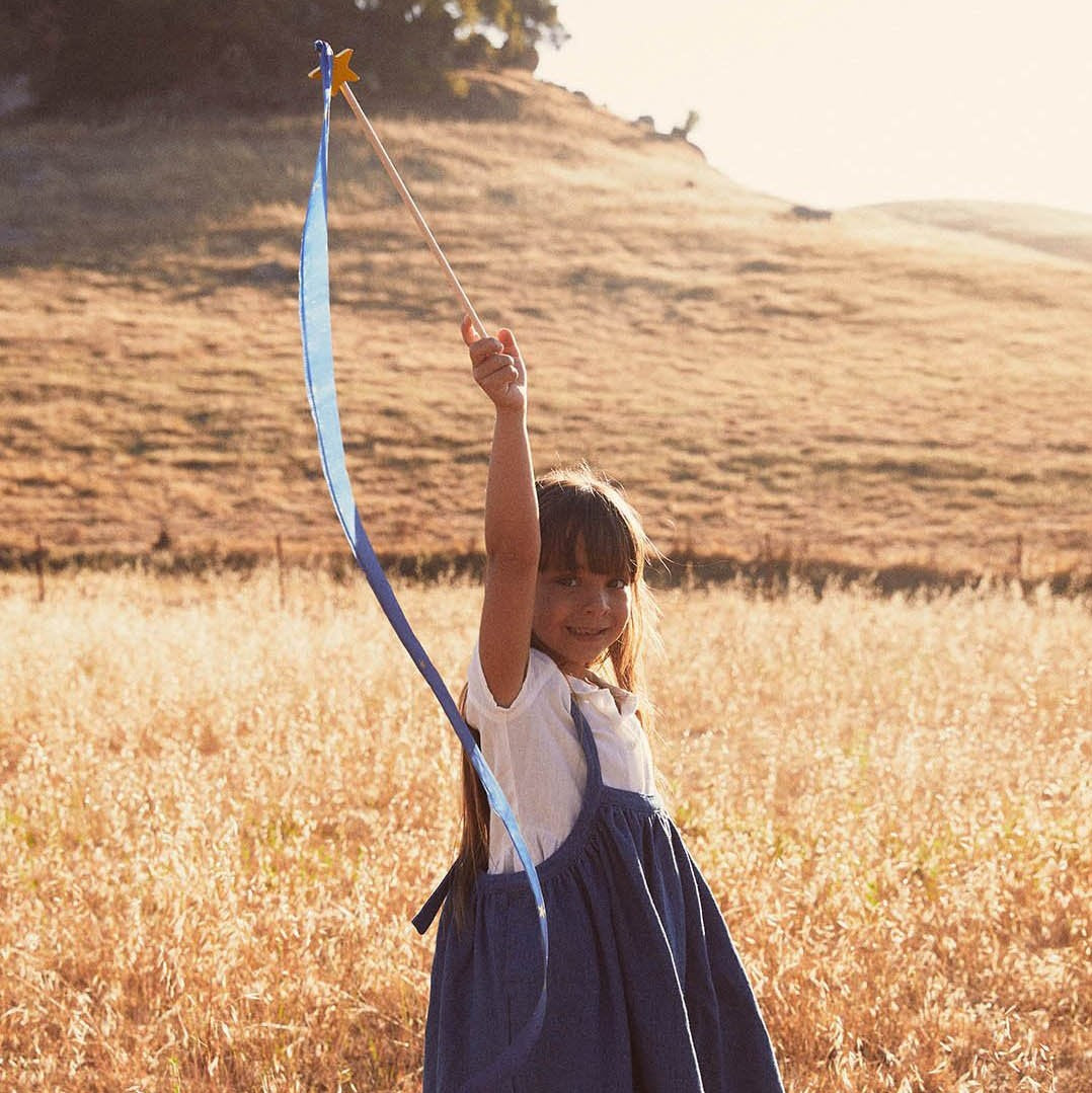 Sarah's Silks | Large Streamers
