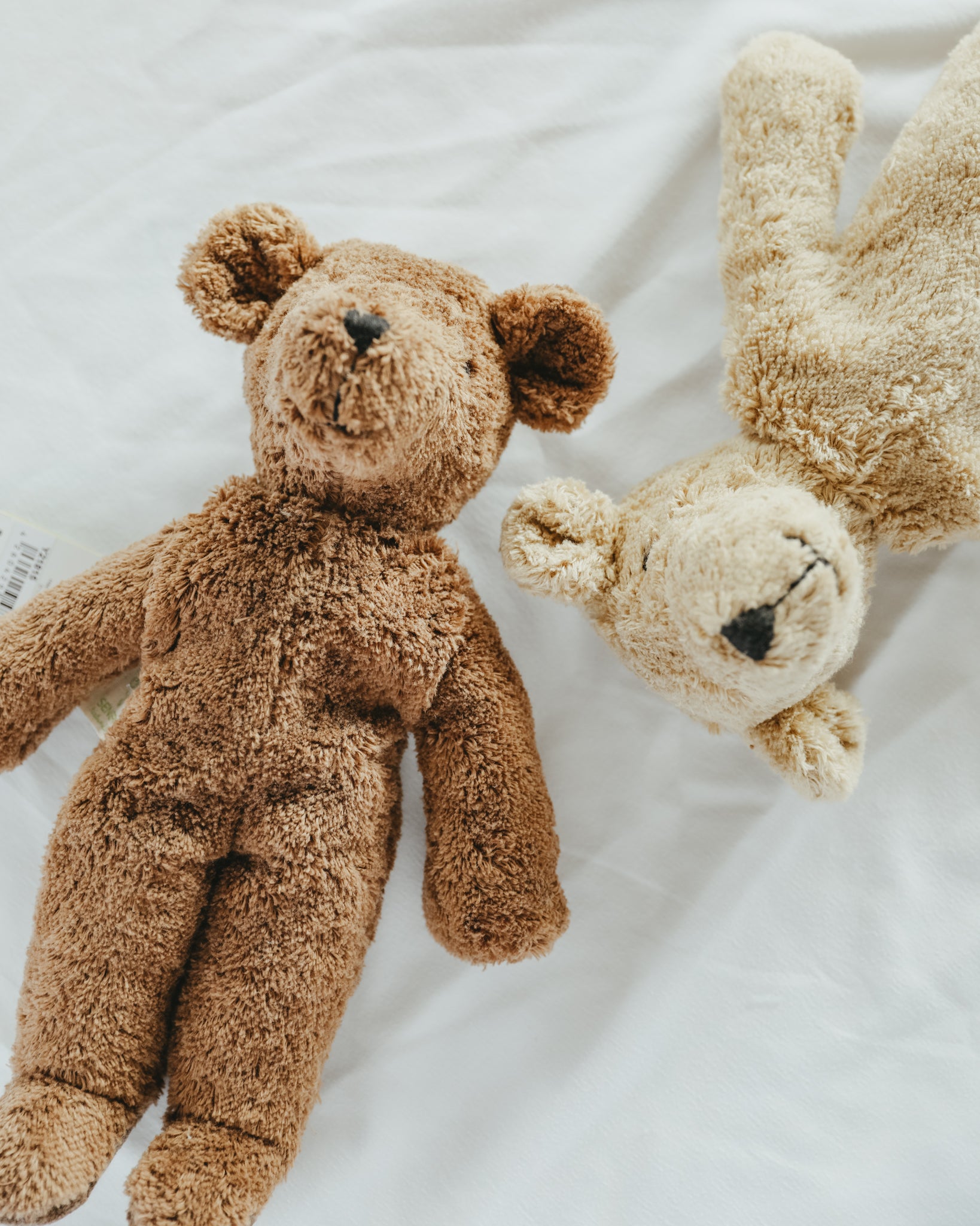 Senger Naturwelt | Floppy Animal - Beige Bear