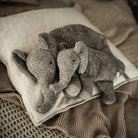 Senger Organic | Cuddly Animal - Elephant