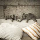Senger Organic | Cuddly Animal - Elephant
