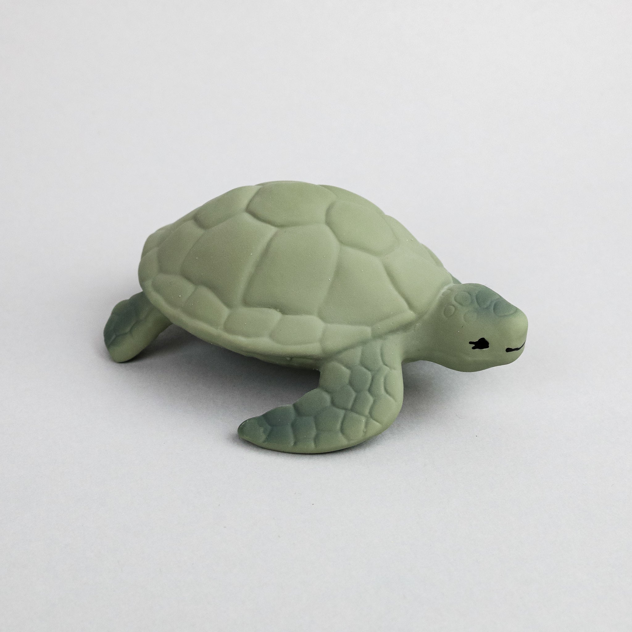 Turtle Teether