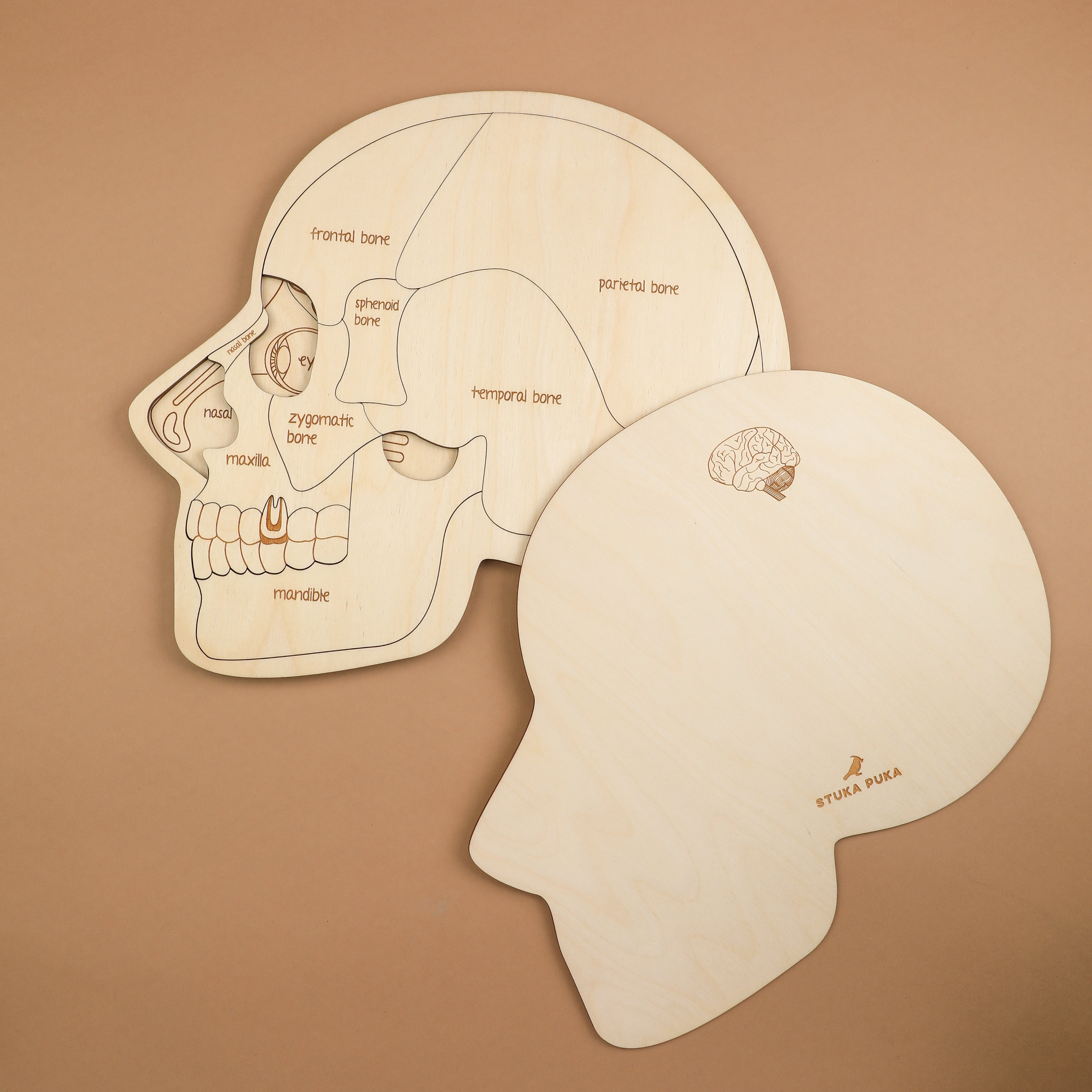 Use Your Head Wooden Puzzle