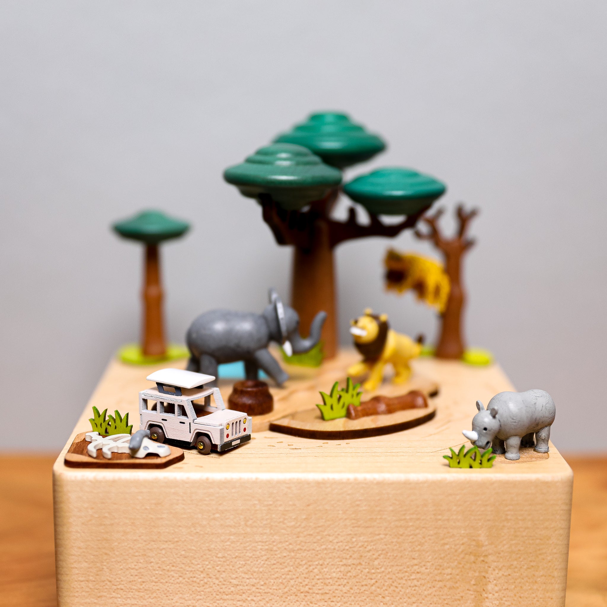 Wooden Music Box - Safari