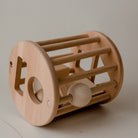 Wooden Rolling Shape Sorter 