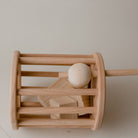 Wooden Rolling Shape Sorter 